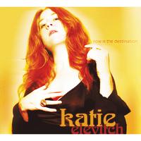 Album - Now is the Destination by Katie Elevitch