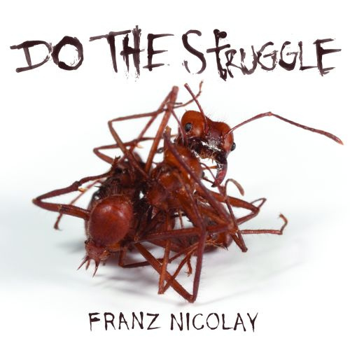 Album - Do The Struggle by Franz Nicolay